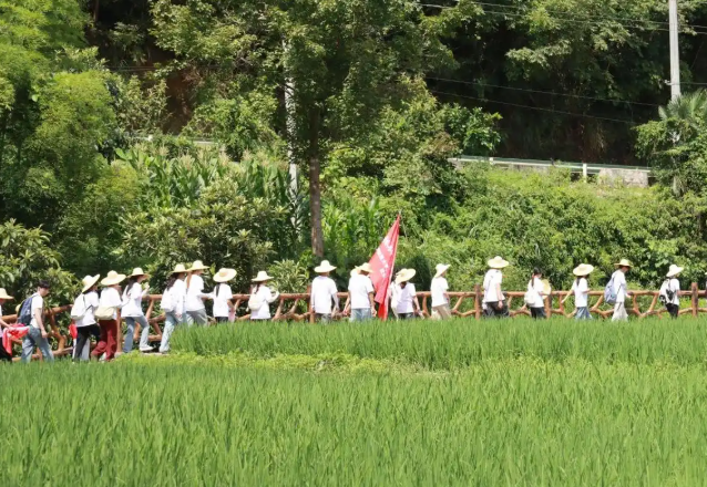 师生看到村庄教育不只发生在讲堂之中也